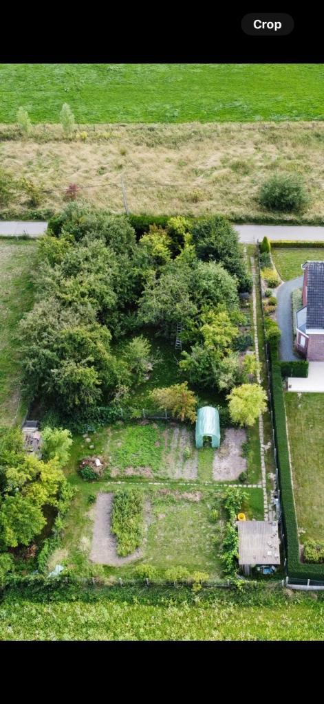 hout, Tuin en Terras, Brandhout, Ophalen