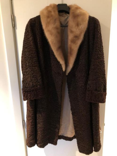 Astrakan bondjas (kraag & mouwomslag in Vison)(NIEUWSTAAT), Kleding | Dames, Jassen | Winter, Nieuw, Maat 42/44 (L), Ophalen