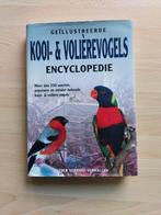 Kooi- en volierevogels, Dieren en Toebehoren, Vogels | Parkieten en Papegaaien