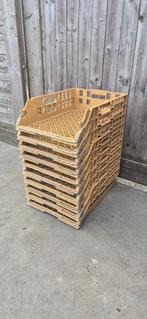 plastieken bak, Ophalen of Verzenden, Zo goed als nieuw, Bak of Kist