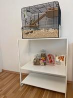 Hamsterkooi (gratis kast + voeding), Ophalen, Kooi