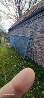 hondenren, Animaux & Accessoires, Maisons pour chiens, Enlèvement, Utilisé, 100 cm ou plus, Chenil chien
