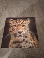 3D kaders, Enlèvement