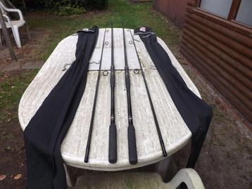 2 karper hengels van DAIWA 12 ft de DICTATOR - Z beschikbaar voor biedingen