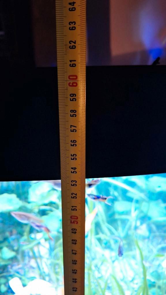 aquariums 2x grootte en kleine, Dieren en Toebehoren, Vissen | Aquaria en Toebehoren, Zo goed als nieuw, Gevuld zoetwateraquarium