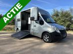 Renault Master MTM 2-paards paardenvrachtwagen MARGE B-rijbe, Dieren en Toebehoren, Gebruikt, Info@hulshof-trading.nl, Overige typen
