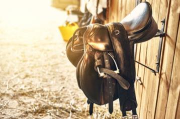 herstellen van paardenmateriaal beschikbaar voor biedingen