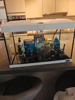 Aquarium 60l + toebehoren, Animaux & Accessoires, Enlèvement, Utilisé, Aquarium vide
