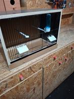 Nieuw vogelkooi, Ophalen, Nieuw, Hout, Vogelkooi