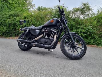 Harley-Davidson Iron 883 Sporster XL Jekill&Hide, Motoren, Motoren | Harley-Davidson, Chopper, 883 cc, Particulier, Meer dan 35 kW