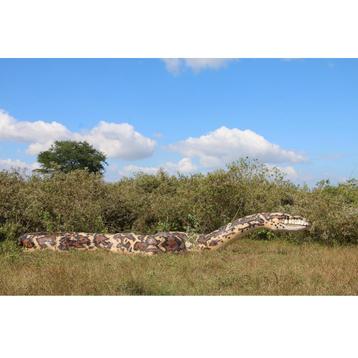 Snake Python Giant 15 mètres - Décoration serpent en polyest