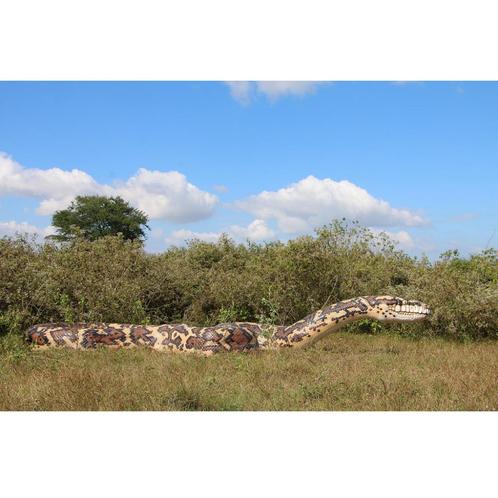 Snake Python Giant 15 meter - Slang decoratie polyester, Verzamelen, Dierenverzamelingen, Nieuw, Ophalen