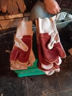 Set lashandschoenen Nieuw, Ophalen of Verzenden, Zo goed als nieuw