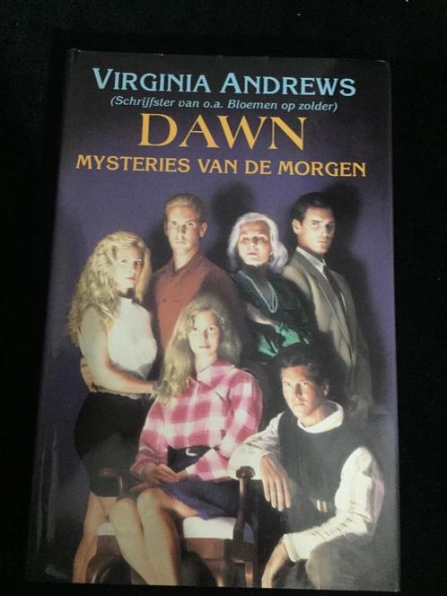 Leesboeken van Virginia  Andrews roman, Livres, Romans, Enlèvement ou Envoi