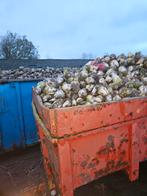 Voeder bieten KWS Laurena (21,5%DS!) per 24T gratis levering, Zakelijke goederen, Ophalen of Verzenden