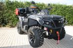 Quad Aodes Pathcross 1000  30th Anniversary, Motoren, 2 cilinders, 1000 cc