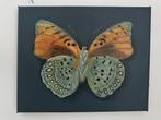 Vlinder schilderijtje handgeschilderd, Antiek en Kunst, Ophalen of Verzenden