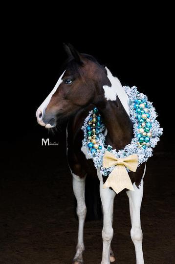 Kerstkrans te koop beschikbaar voor biedingen