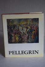 Pellegrin Constant schilder(1893-1983) biografie, getekend., Boeken, Ophalen of Verzenden, Gelezen, H. Van De Ven