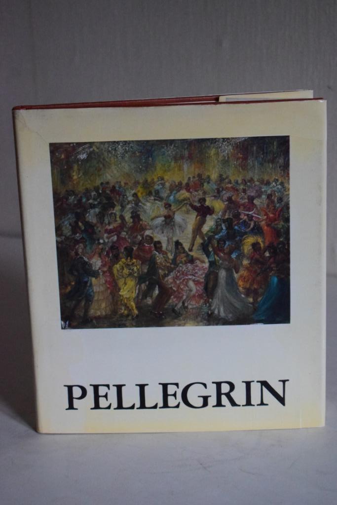 Pellegrin Constant schilder(1893-1983) biografie, getekend., Boeken, Kunst en Cultuur | Beeldend, Gelezen, Ophalen of Verzenden