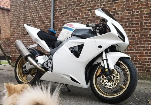 Honda cbr954rr trackbike, Motoren, Motoren | Honda, Particulier, Ophalen
