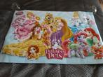 grote poster :prinses/ music passion/soy luna, Verzamelen, Ophalen of Verzenden, Nieuw