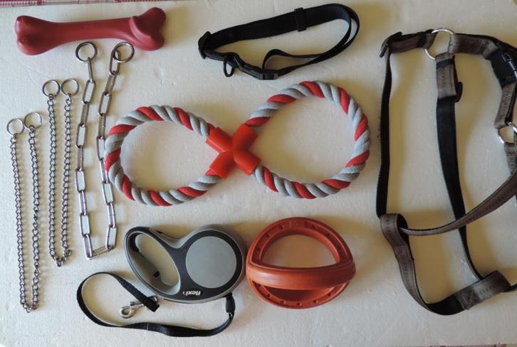 9 laisse, harnais, etc. pour chiens genre  labradors, Animaux & Accessoires, Accessoires pour chiens, Utilisé, Enlèvement