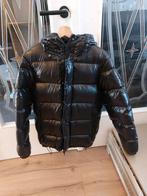 Ralph lauren puffer nieuw S, Zwart, Nieuw, Ophalen of Verzenden, Polo Ralph Lauren
