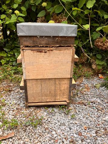2 x ruches Toplat. 3 niveaux, Abeilles
