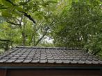 tuinhuis te koop, Tuin en Terras, Ophalen, Tuinhuis, 2 ramen, 500 cm of meer