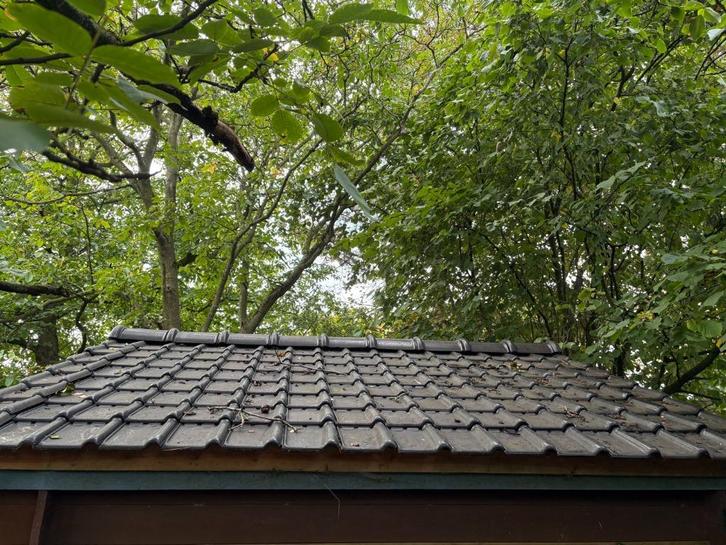 tuinhuis te koop, Tuin en Terras, Tuinhuizen, Gebruikt, Tuinhuis, Hout, 500 cm of meer, 200 tot 400 cm, 2 ramen, Ophalen