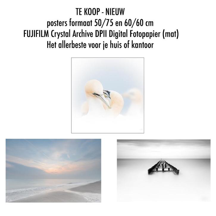 wooninrichting, Huis en Inrichting, Woonaccessoires | Schilderijen, Tekeningen en Foto's, Nieuw, Foto of Poster, 50 tot 75 cm