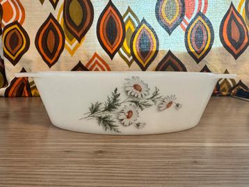 Arcopal beschikbaar voor biedingen