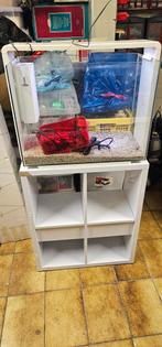 Superfish home80 met kast, Enlèvement