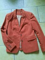 Blazer donker oranje maat 42, Vêtements | Femmes, Vestes & Costumes, Taille 42/44 (L), Enlèvement ou Envoi, 3 suisses, Porté