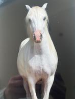 Welsh pony, Dieren en Toebehoren, Merrie, Gechipt, 7 tot 10 jaar, B pony (1.17m tot 1.27m)