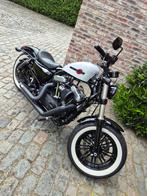 Harley Davidson forty eight 48 sportster, 1200 cc, Particulier