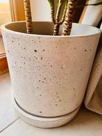 2 Cache pots et soucoupes en pierre blanche, Enlèvement, Pierre, Intérieur