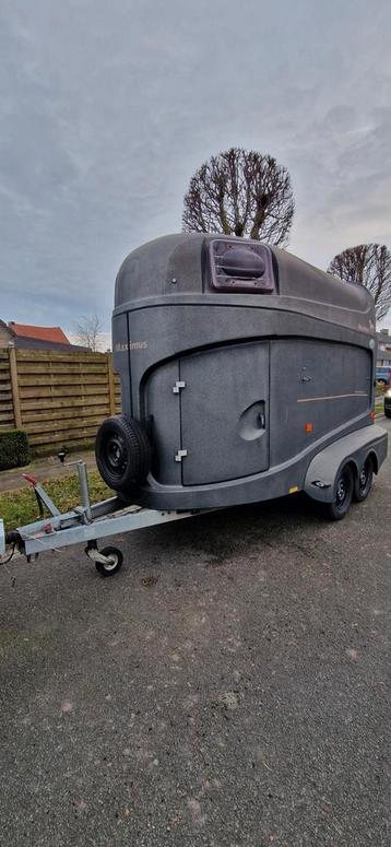 Paardentrailer 2 paarden Hambaur Maximus  beschikbaar voor biedingen