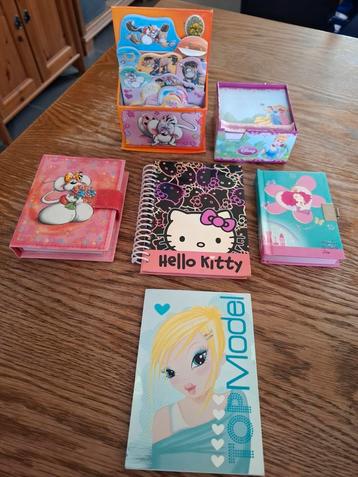 Ensemble de 6 carnets (didl, princesses, top model...), Enlèvement, Comme neuf