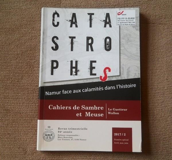 Namur face aux calamités dans l'histoire, Livres, Histoire nationale, Enlèvement ou Envoi, Utilisé