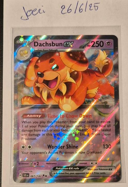 pokemon - dachsbun  ex #67, Hobby en Vrije tijd, Verzamelkaartspellen | Pokémon, Nieuw, Losse kaart, Foil, Ophalen of Verzenden