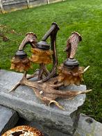 Gewei lamp, Enlèvement