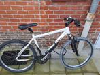 Fiets, Fietsen en Brommers, Elektrische fietsen, Zo goed als nieuw, Giant, Ophalen, 55 tot 59 cm