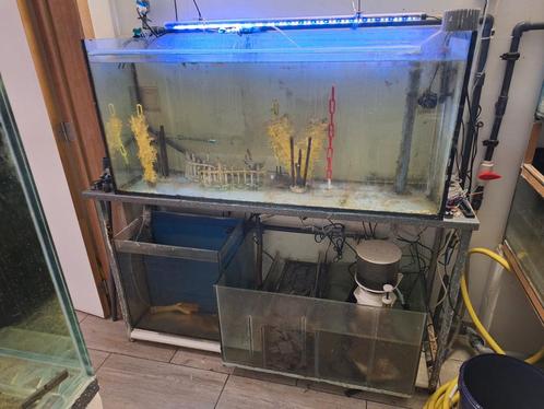 Kweektafel, Dieren en Toebehoren, Vissen | Aquaria en Toebehoren, Gebruikt, Ophalen