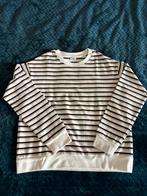 NIEUW sweater Pimkie maat M, Kleding | Dames, Truien en Vesten, Ophalen of Verzenden, Zo goed als nieuw, Maat 38/40 (M)