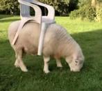 Tondeuse à gazon automatique, Animaux & Accessoires