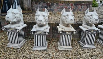 Honden pitbull koppen, met zuilen, Enlèvement, Neuf, Béton, Animal