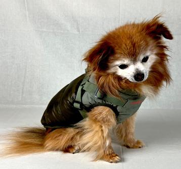 Diverse hondenjasjes en mooie manden beschikbaar voor biedingen