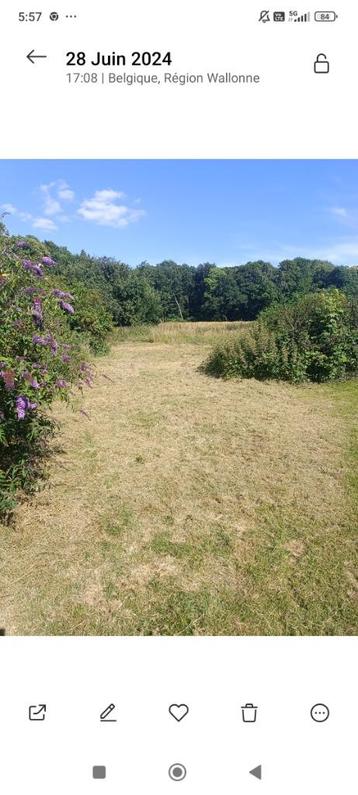 Terrain a petit dour